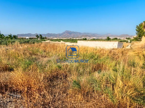 Parcela 10 mil m2 – zona Casa Colorada.