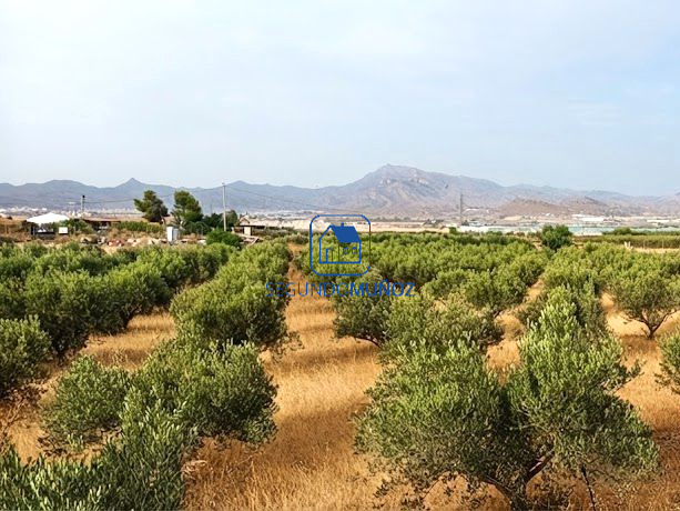 Parcela 10 mil m2 – zona Casa Colorada.