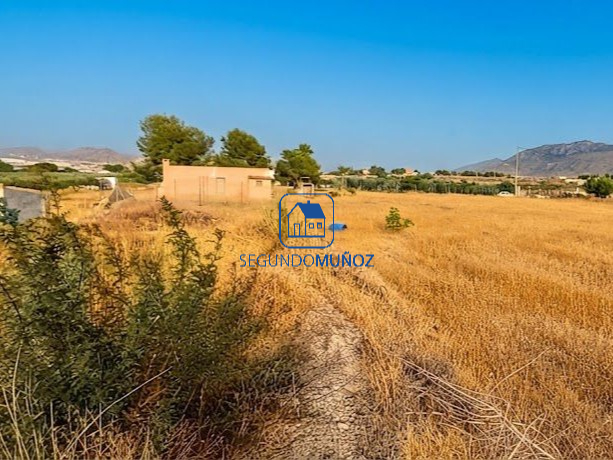 Parcela 10 mil m2 – zona Casa Colorada.