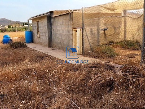 Parcela 10 mil m2 – zona Casa Colorada.