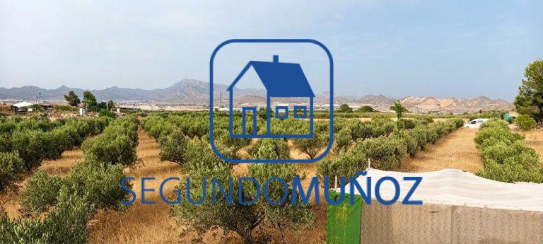 Parcela 10 mil m2 – zona Casa Colorada.