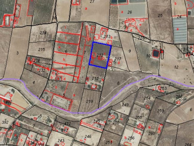 Parcela 10 mil m2 – zona Casa Colorada.